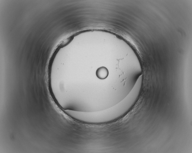 X0000111371088200908071209