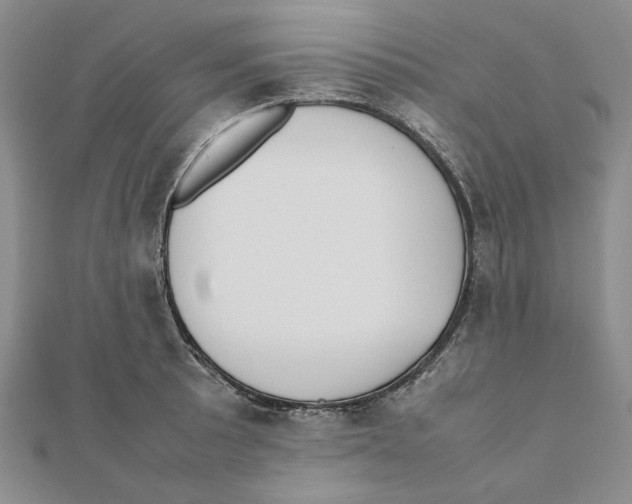X0000111371089200908071209