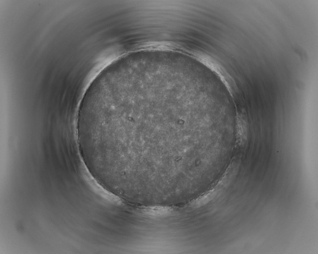 X0000111371090200908071209