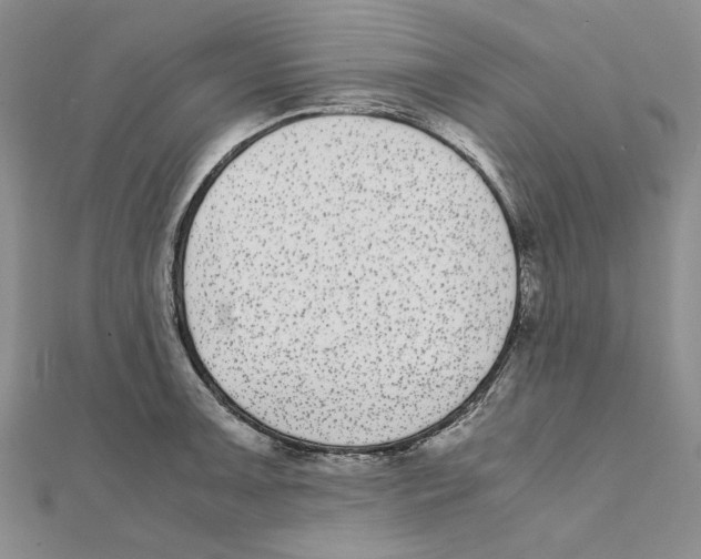 X0000111371091200908071209