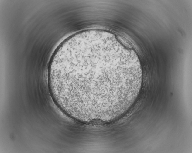 X0000111371092200908071209