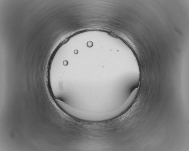 X0000111371093200908071209