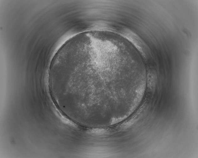 X0000111371094200908071209