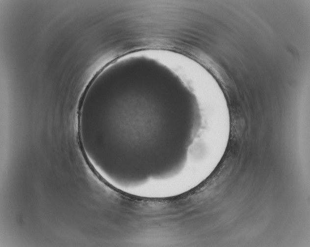 X0000111371095200908071209