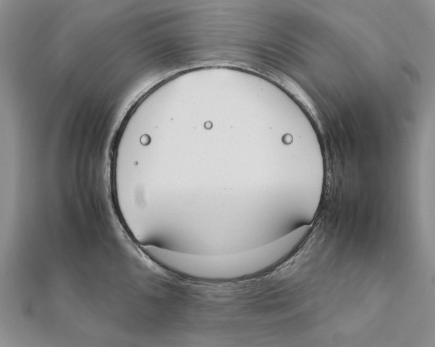 X0000111371096200908071209
