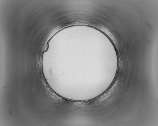 X0000111371097200908071209