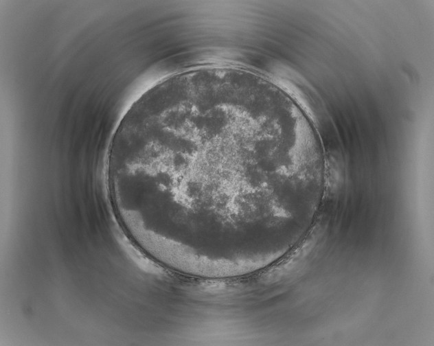 X0000111371098200908071209