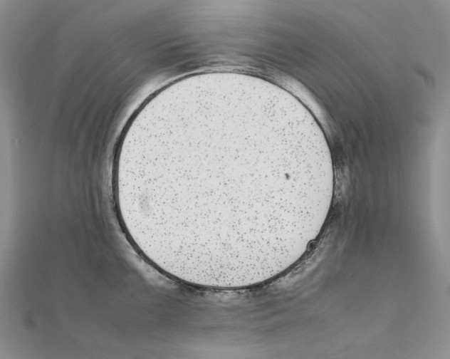 X0000111371099200908071209