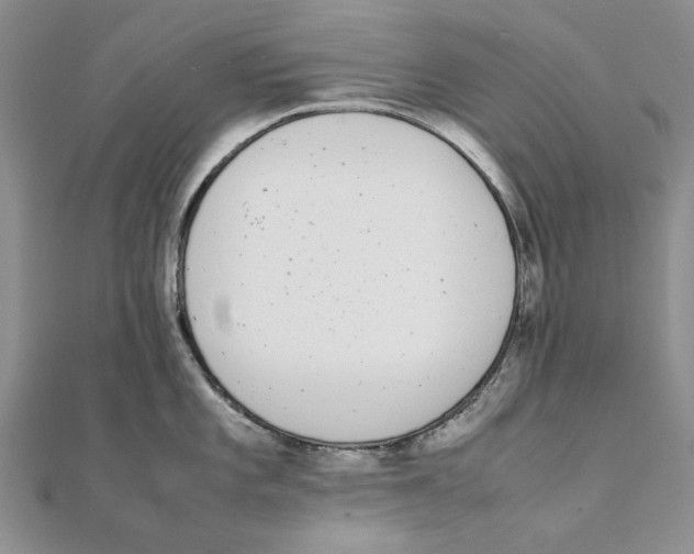 X0000111371101200908071209