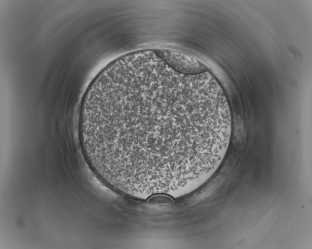 X0000111371102200908071209