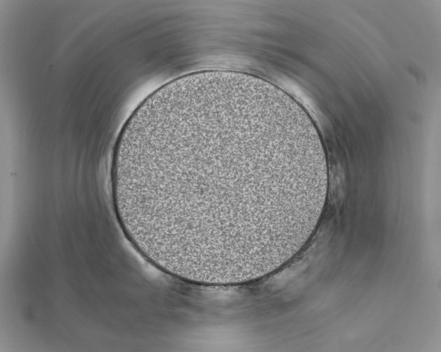 X0000111371103200908071209