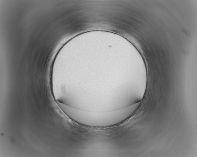 X0000111371104200908071209