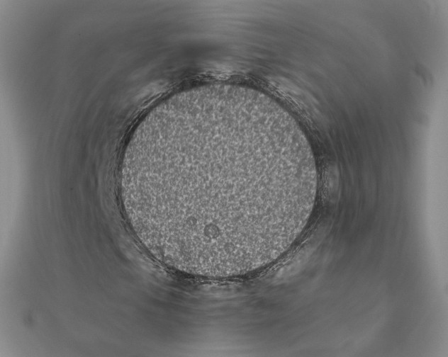 X0000111371105200908071208
