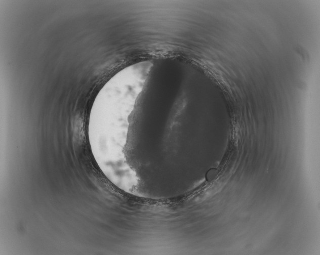 X0000111371106200908071208