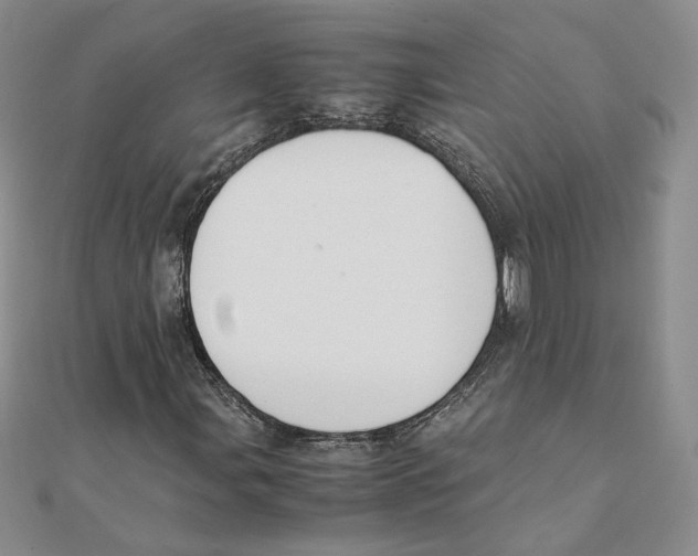 X0000111371107200908071208