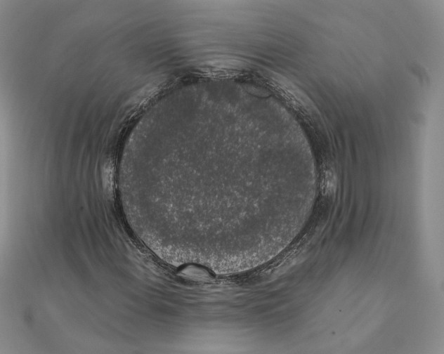 X0000111371108200908071208