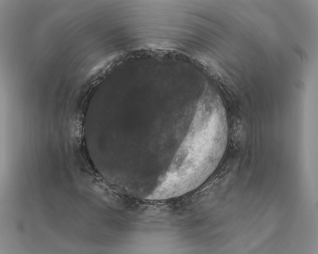 X0000111371110200908071208