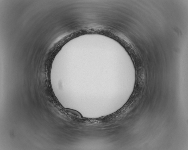 X0000111371112200908071208