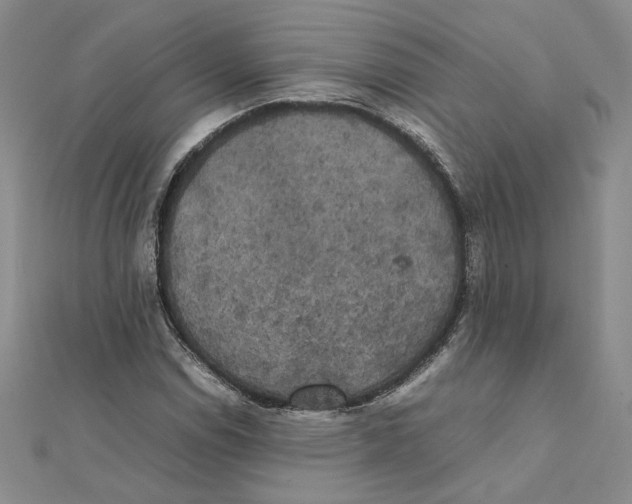 X0000111371114200908071208