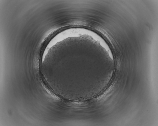 X0000111371115200908071208