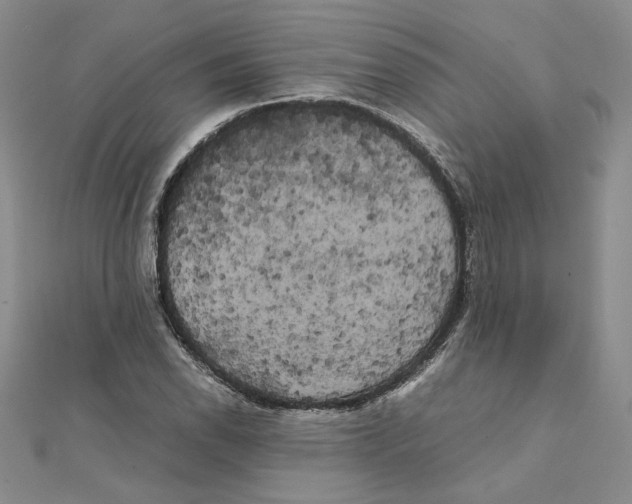 X0000111371118200908071208