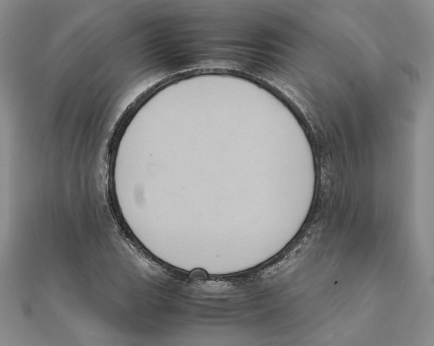 X0000111371119200908071208