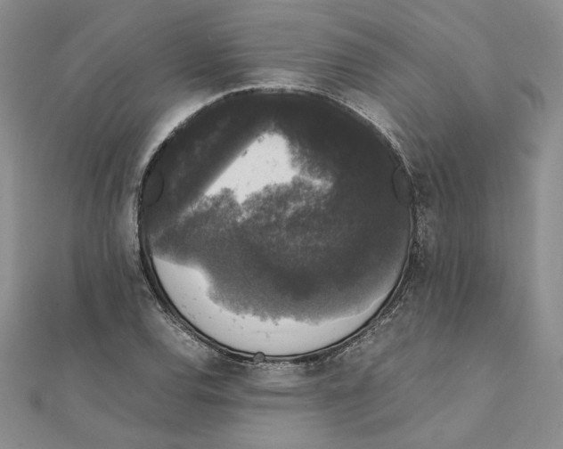 X0000111371120200908071208
