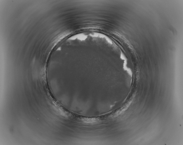 X0000111371121200908071208
