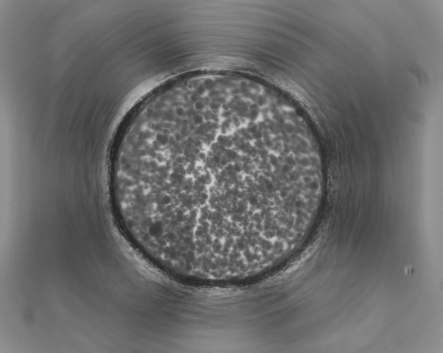X0000111371122200908071208