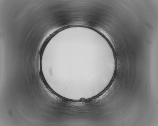 X0000111371123200908071208