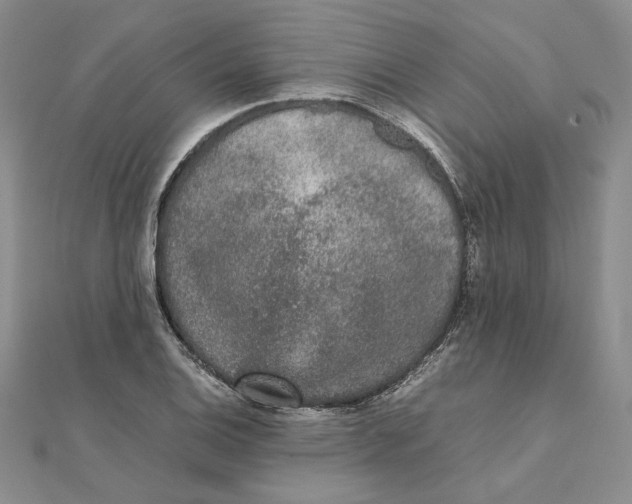 X0000111371124200908071208