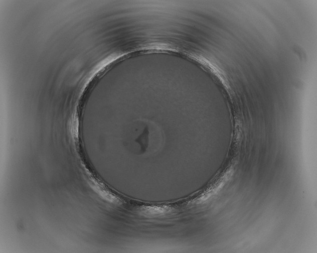 X0000111371125200908071208