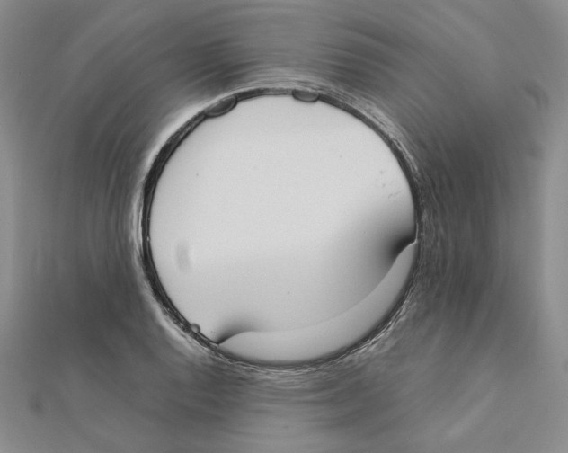 X0000111371128200908071208