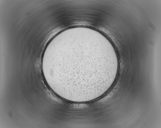 X0000111371129200908071208