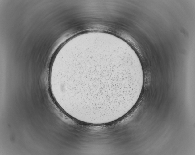 X0000111371130200908071208
