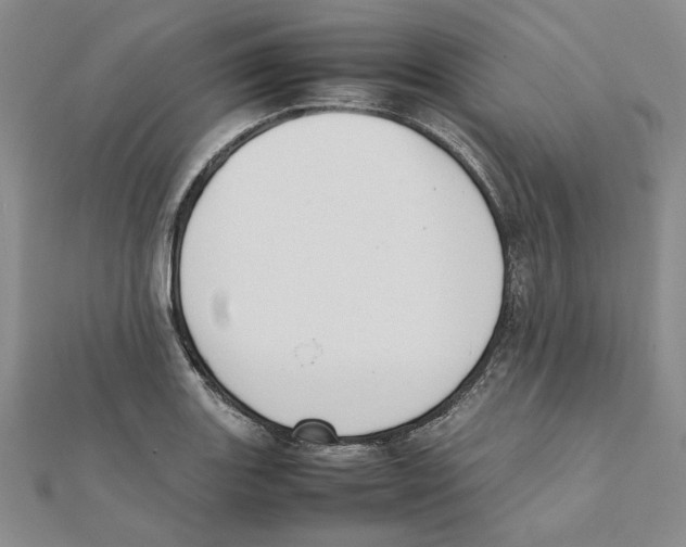 X0000111371131200908071208