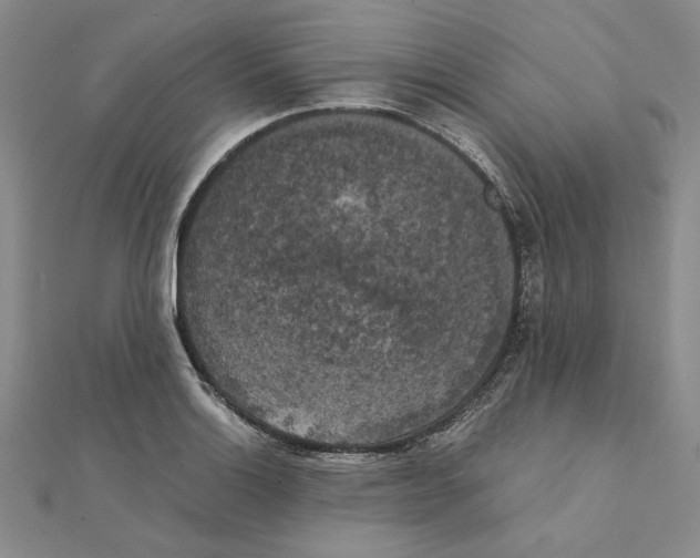 X0000111371132200908071208