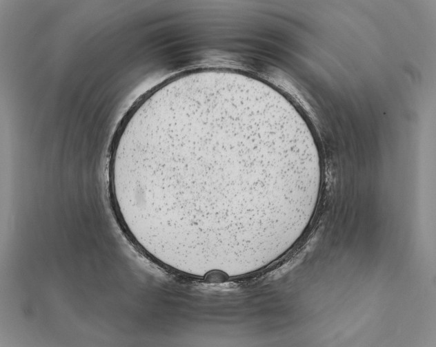 X0000111371133200908071208