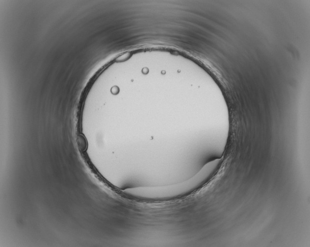 X0000111371134200908071208