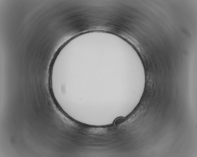 X0000111371135200908071208