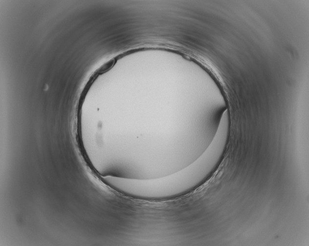 X0000111371136200908071208