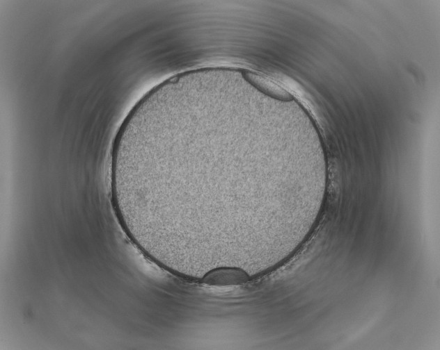 X0000111371140200908071209