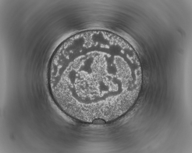 X0000111371142200908071209