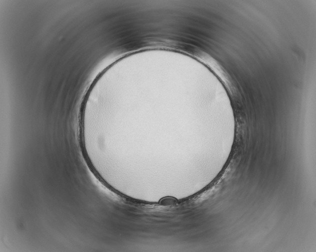 X0000111371143200908071209
