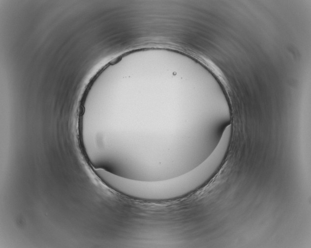 X0000111371144200908071209