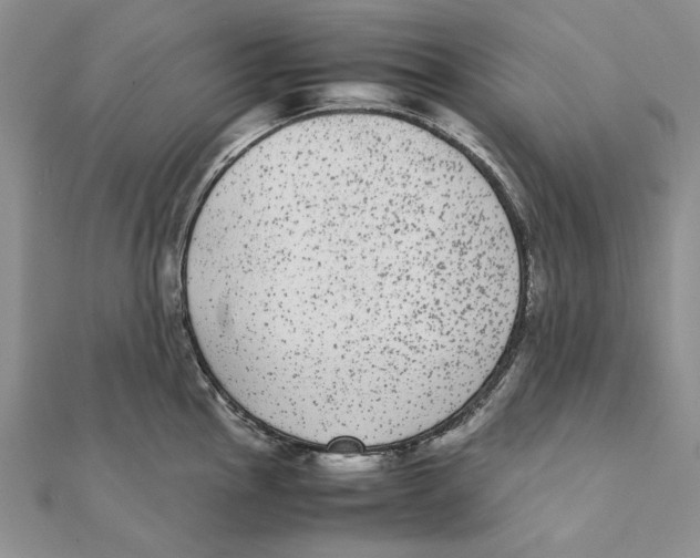 X0000111371145200908071209