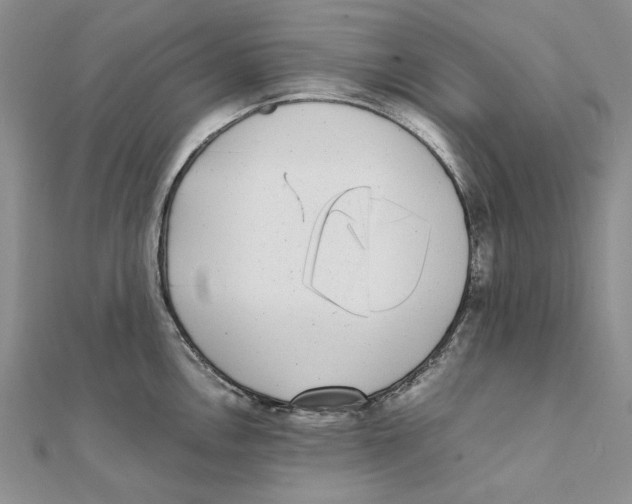 X0000111371146200908071209