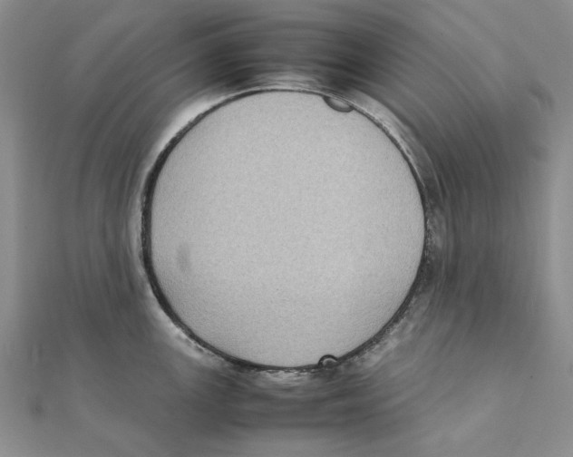 X0000111371147200908071209
