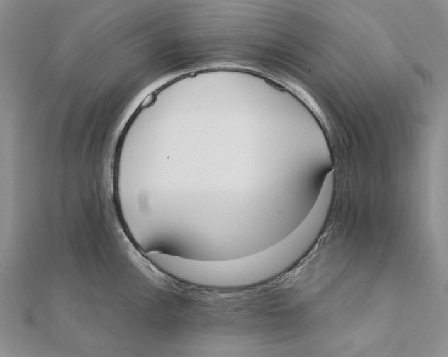 X0000111371148200908071209