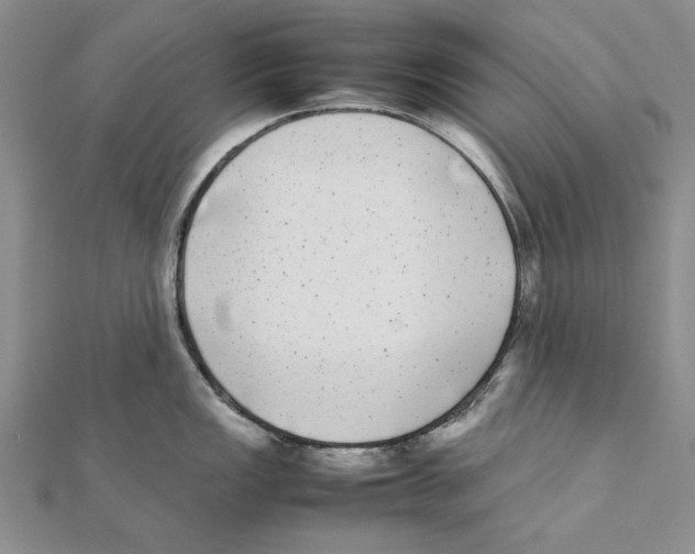 X0000111371149200908071209